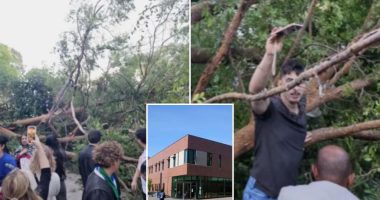 Falling tree injures 12 at Diablo Valley College graduation ceremony in California