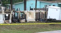 Fire at cat rescue kills multiple animals trapped inside