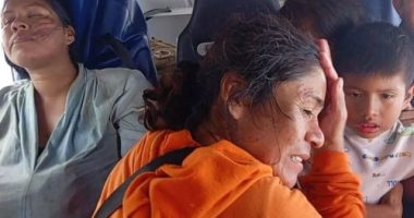 Five people survive nearly two days in alligator-riddled swamp