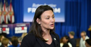 Florida chair pushes back on ‘Democratic Party is dead’ claim