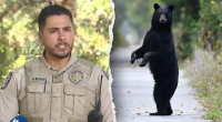 Florida man, 89, and his dog mauled to death by black bear in state's first fatal attack