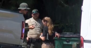 Florida man and his dog killed in suspected bear attack