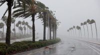 Floridians more concerned about hurricane season this year, AAA survey finds