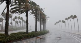 Floridians more concerned about hurricane season this year, AAA survey finds