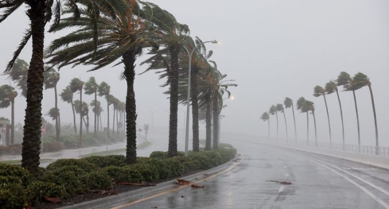 Floridians more concerned about hurricane season this year, AAA survey finds