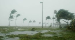Forecasting hurricanes: How preseason outlooks hold up against what actually happens