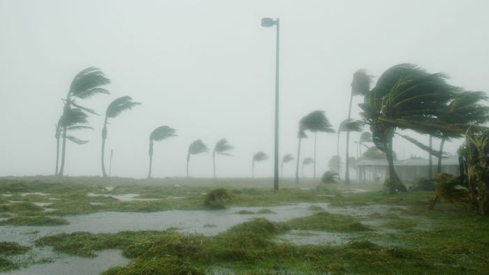 Forecasting hurricanes: How preseason outlooks hold up against what actually happens
