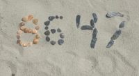 At issue is an Instagram post from Thursday in which Comey wrote "cool shell formation on my beach walk" under a picture of seashells that appeared to form the shapes for "86 47."