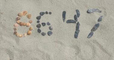 At issue is an Instagram post from Thursday in which Comey wrote "cool shell formation on my beach walk" under a picture of seashells that appeared to form the shapes for "86 47."