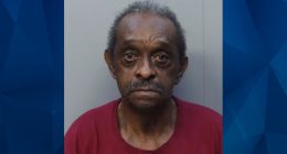 GRAPHIC: Ring Camera Films Man Raping 97-Year-Old Hospice Patient