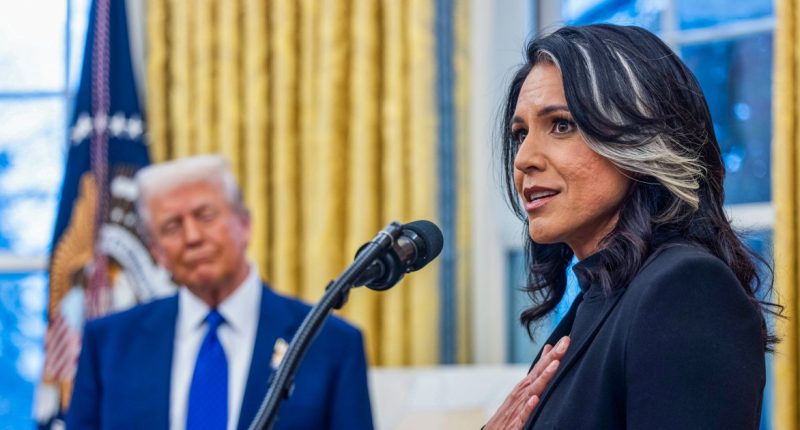 Gabbard considering ways to revamp Trump's intelligence briefing