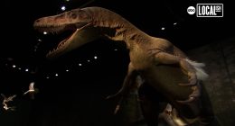 Go back to the time of the dinosaurs at the Edelman Fossil Park and Museum