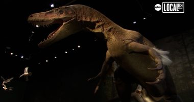 Go back to the time of the dinosaurs at the Edelman Fossil Park and Museum
