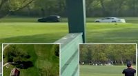 Golfer, 70, struck by SUV in car chase on Chicago golf course: video