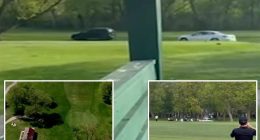 Golfer, 70, struck by SUV in car chase on Chicago golf course: video