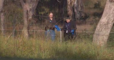 Coonabarabran: Two young boys found dead in home