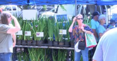 Greeneville's Iris Festival wrapping up 30th anniversary