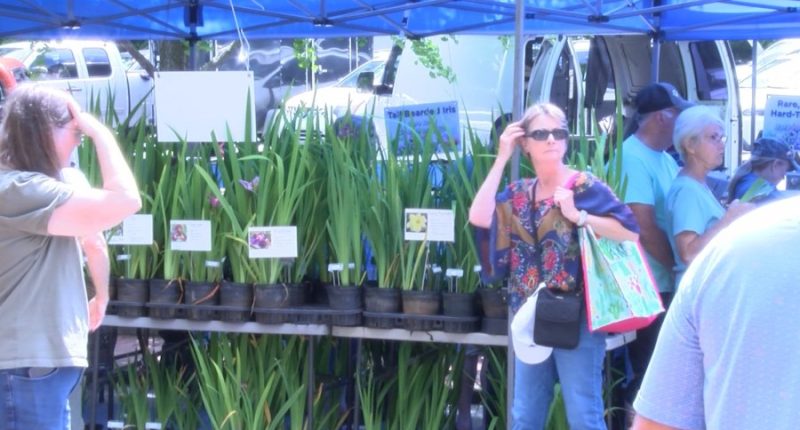 Greeneville's Iris Festival wrapping up 30th anniversary