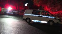 An investigation is underway after a number of shots were fired at a man in Sydney's north.