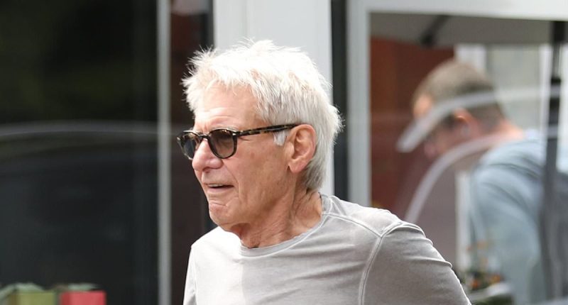 Harrison Ford showcases shock ripped frame at 82