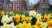Harvard joins colleges moving to self-fund some research to offset federal funding cuts