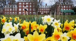 Harvard joins colleges moving to self-fund some research to offset federal funding cuts