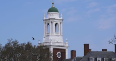 Harvard sues Trump administration over foreign students ban