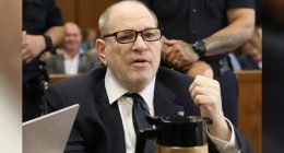 Harvey Weinstein trial: Ex-model takes the stand, marking first time she has testified