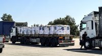 Trucks carrying aid are seen at the Kerem Shalom crossing between Israel and Gaza, on its Israeli side, on Sunday