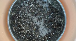Microplastics are a more recognised issue across the world.