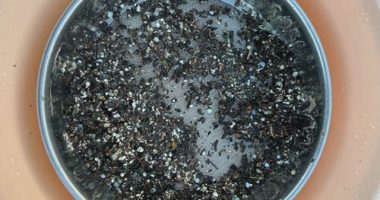 Microplastics are a more recognised issue across the world.