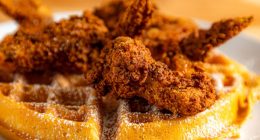 Highest-rated Southern restaurants in Tampa by diners