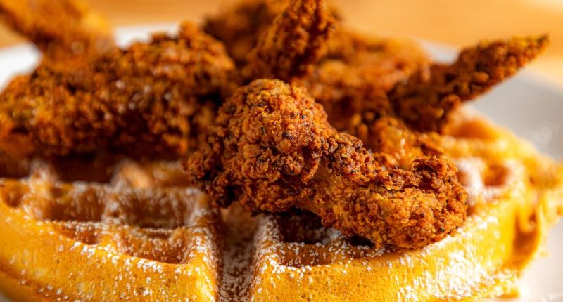 Highest-rated Southern restaurants in Tampa by diners