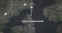 Homeowner finds human remains on Fleming Island along St. Johns River