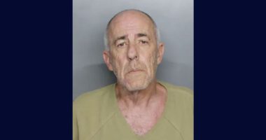 Homeowner opens fire on men selling solar panels: Cops