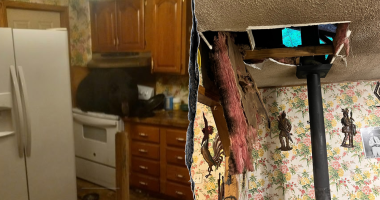 Homeowners get surprise visitor when black bear crashes through ceiling onto stove