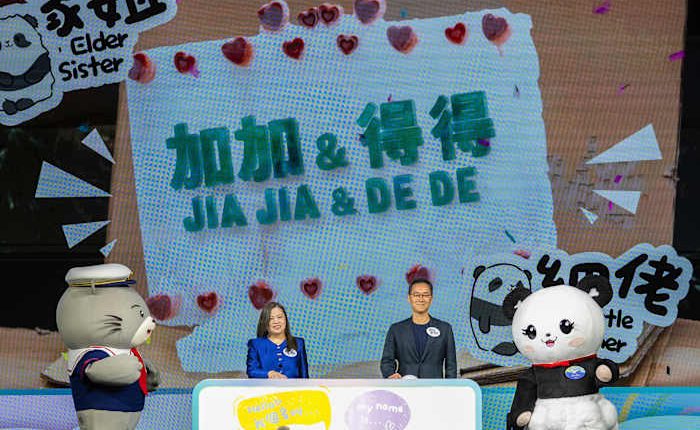 Hong Kong's baby pandas finally get names. Meet Jia Jia and De De
