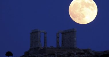Hot Takes: This Will Make You Laugh - Full Moon Rises As Palestine Protester Pantsed!