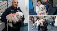 Hudson, dog saved from East River, adopted by NYPD harbor cop who rescued her