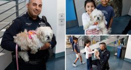 Hudson, dog saved from East River, adopted by NYPD harbor cop who rescued her