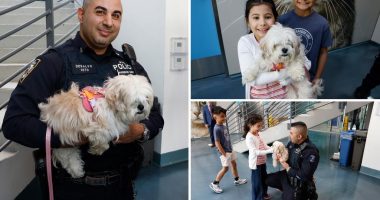 Hudson, dog saved from East River, adopted by NYPD harbor cop who rescued her