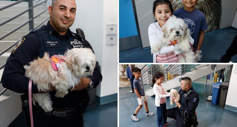 Hudson, dog saved from East River, adopted by NYPD harbor cop who rescued her