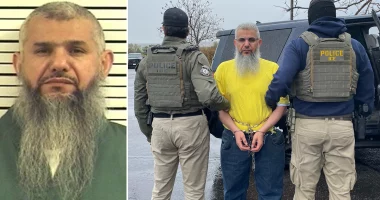 ICE arrests ‘criminal alien’ released from prison with sex crimes conviction: 'He won’t be welcome back'