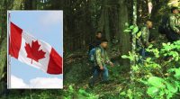Illegal immigrants accused of pocketing thousands by smuggling hundreds of aliens each week from Canada to US
