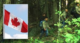 Illegal immigrants accused of pocketing thousands by smuggling hundreds of aliens each week from Canada to US