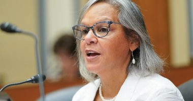 Illinois Congresswoman Robin Kelly running for US Senate, joining race to replace Senator Dick Durbin