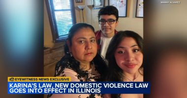 Illinois 'Karina's Law' goes into effect to remove guns from domestic violence situations in Little Village mom's name, son speaks