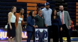 Illinois promotes Nilson to head women's gymnastics coach