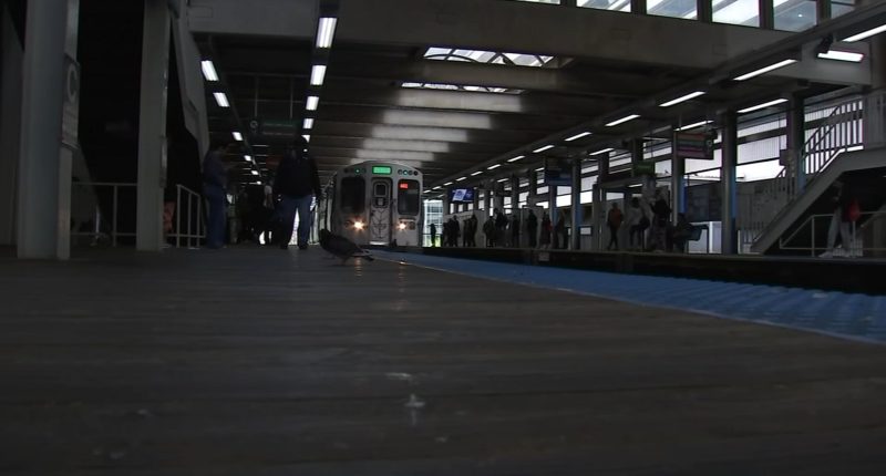 Illinois state lawmakers debating bills to reform CTA, Metra, Pace: Possible revenue sources include tolls, rideshare tax