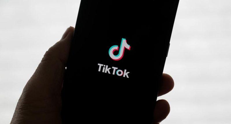 Influencer shot dead during TikTok live in Mexico